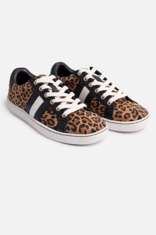 Cozyeveningin.shopd2c340e209 2